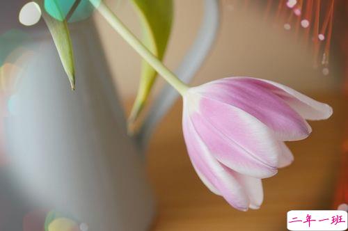 女生跟男朋友撒娇的说说带图片 女生写给男生的可爱情话14