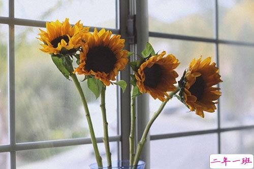 一个人挣扎的说说伤感心累带图片 睡不着心里不舒服的说说9