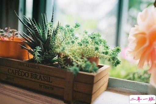 一句话让女朋友炸毛 女生听了瞬间生气的句子合集14