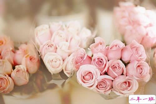 超级适合冬天发的说说句子带图片 冬天很冷发朋友圈的唯美句子2