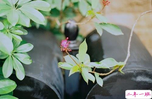 十二月你好幸福唯美说说带图片 2018十二月朋友圈说说带着美好祝愿2