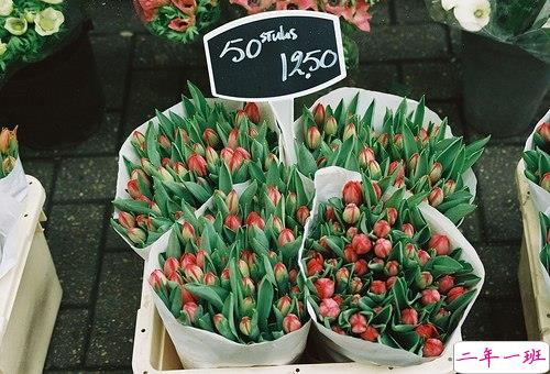 十二月你好幸福唯美说说带图片 2018十二月朋友圈说说带着美好祝愿4