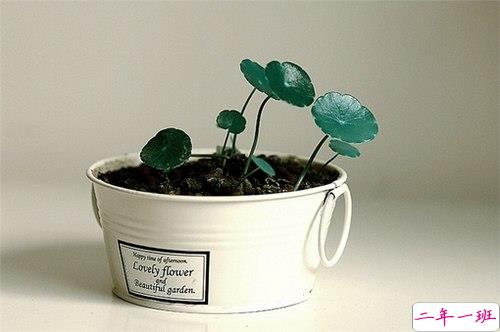 十二月你好幸福唯美说说带图片 2018十二月朋友圈说说带着美好祝愿5