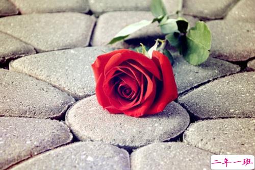 与爱情有关的朋友圈说说带图片 余生有你我好欢喜6