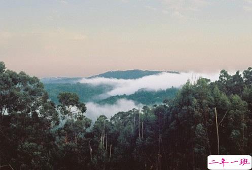 qq说说伤感女生带绝情配图 是真的感到心好累说说带图片6