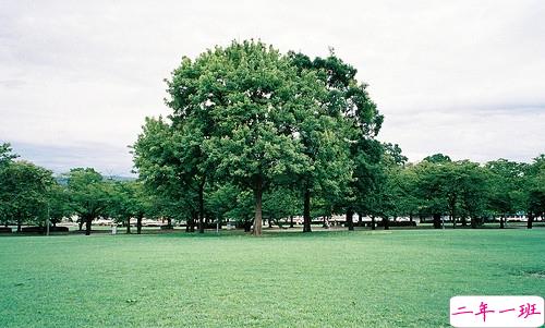 精辟犀利的爱情说说大全带图片 这些描写爱情的句子太绝了11