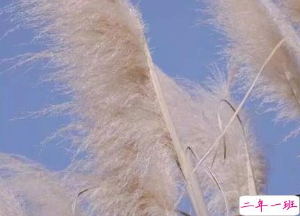 压抑着自己的伤感说说带图片 很烦躁很失落的说说精选15