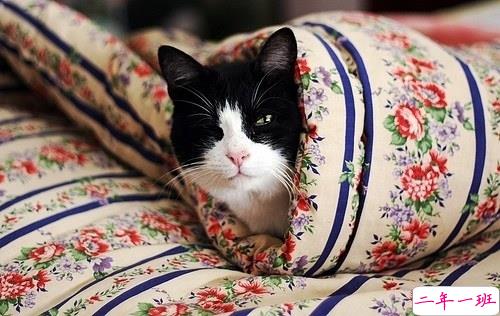 突然一瞬间悲伤难过的伤感说说带图片 抖音上很火的触动人心的伤感说说1