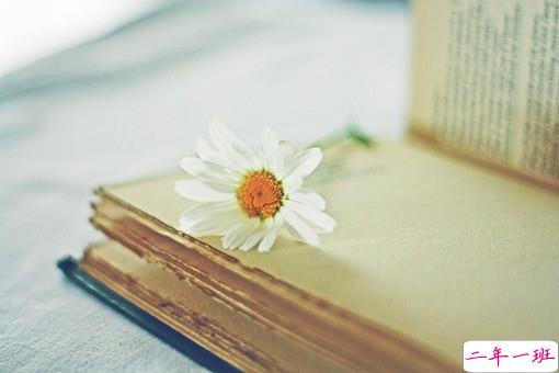 写给失恋分手后的伤感说说带图片 很难过的一个人感到孤独寂寞的说说12