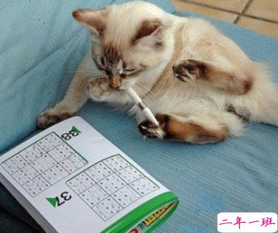 文字控说说带图片2 文字控说说带图片2