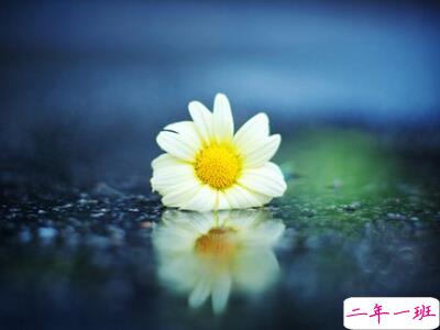 伤心的说说带图片1 伤心的说说带图片1