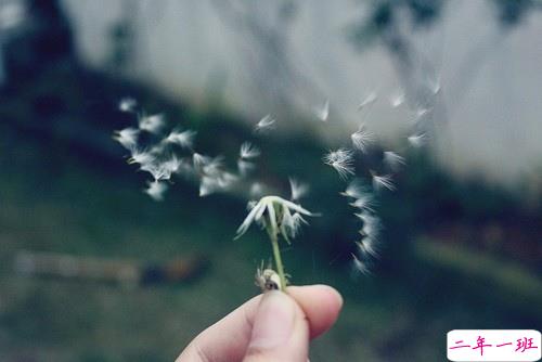 痛到心碎的伤感说说配图 生活很现实的伤感说说9