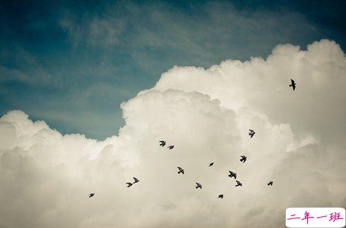 痛到心碎的伤感说说配图 生活很现实的伤感说说14