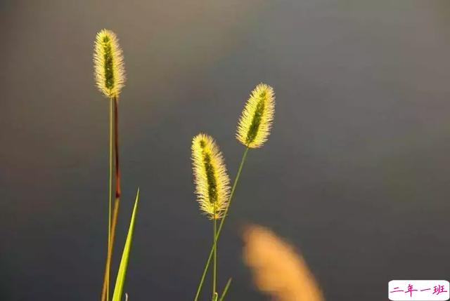 句句说到心坎的句子带图片 后来才明白还有一种爱是放手6