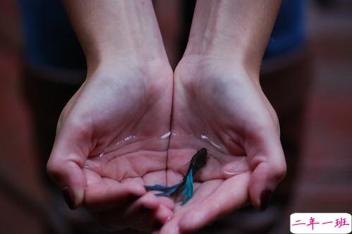 提到爱情有时会心痛心碎的伤感说说带图片13