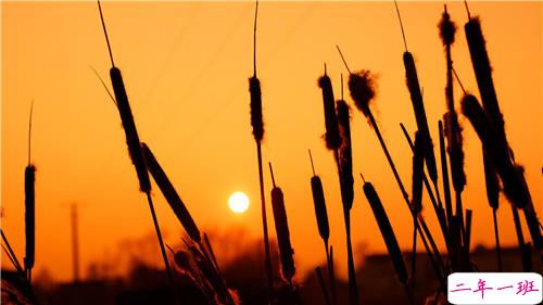 痛彻心扉的伤感爱情说说带图片 我在每个下雨天想起你7