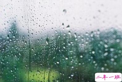 小清新的早安心语带图片:最美好的不是未来,是今天14