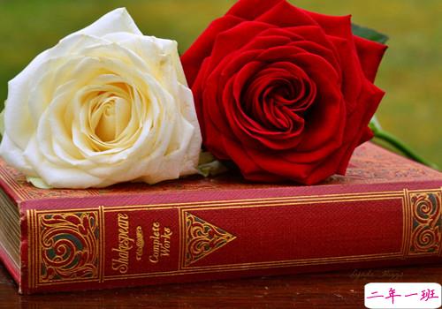 痛彻心扉的伤感爱情说说带图片 我在每个下雨天想起你15