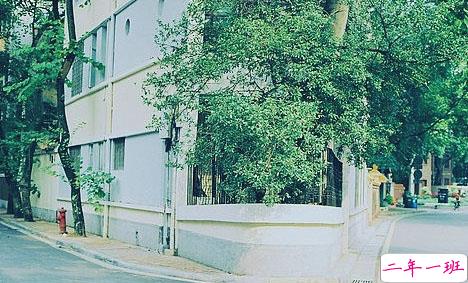 超伤感的00后难过心痛说说带图片 树深时雾起海深时浪涌10