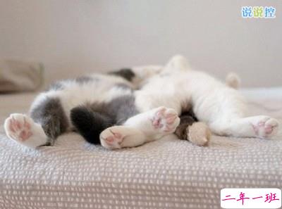 有哲理的句子带图片3 有哲理的句子带图片3