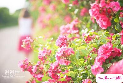 有哲理的句子带图片4 有哲理的句子带图片4