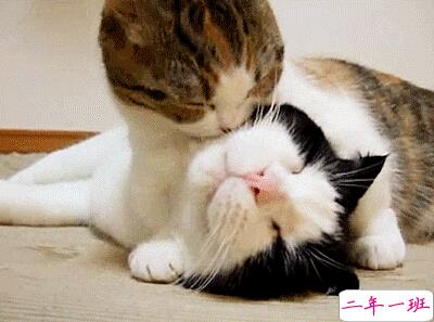 扣扣说说带图片1