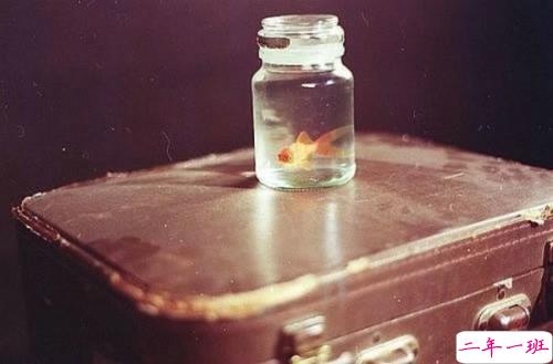 关于爱情的伤感难过句子带图片 我们两个之间的进度条可能也就只到这里了吧2