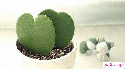 关于爱情的伤感难过句子带图片 我们两个之间的进度条可能也就只到这里了吧12