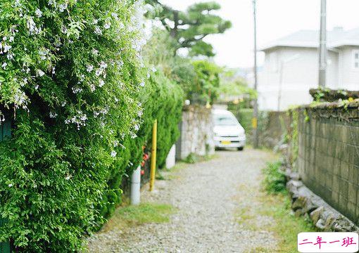 超伤感的爱情说说 看过最虐心的小说是你和我的聊天记录11