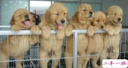 带图片的空间说说3