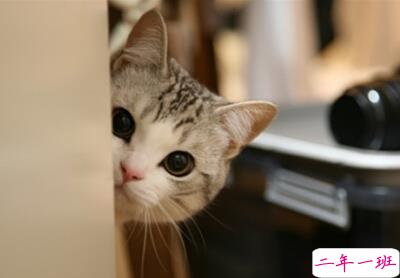 带图片的空间说说6