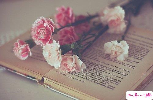 有点伤感的爱情说说带图片 失去一个人后是什么感觉 5