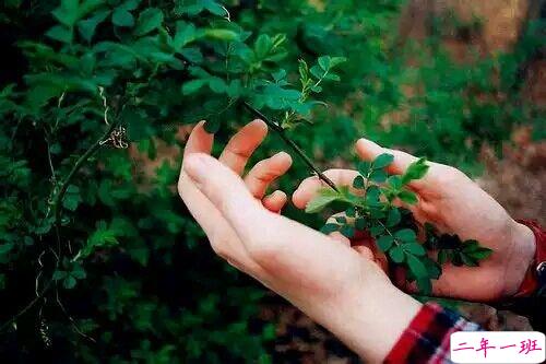 有点伤感的爱情说说带图片 失去一个人后是什么感觉 10