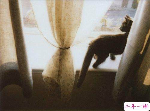 伤感意境适合失恋后发的说说带图片 不打扰是我的温柔3