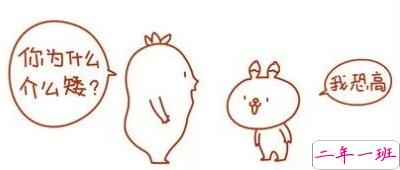 有趣的图片和说说5