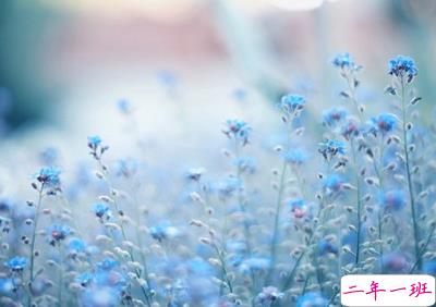 唯美古风句子配图片2