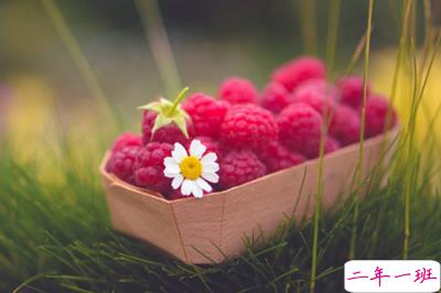 唯美古风句子配图片3