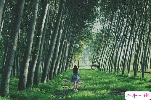 那些爱而不得的心酸和伤感图片句子 似曾已看过极光海洋和彩虹16