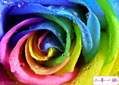 小清新说说图片大全5