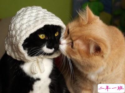 甜蜜说说带图片6