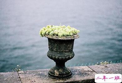 2018心情不好的图片说说 说到心坎里的说说心情配图3