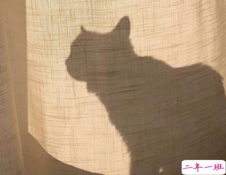 把事和人看透的说说图片 并不是所有的喜欢都会有结果11