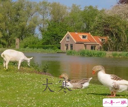 2021最新大寒句子带图片 大寒最经典的祝福语5