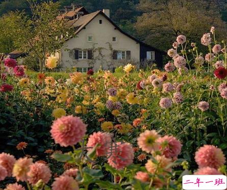 2021最新大寒句子带图片 大寒最经典的祝福语6