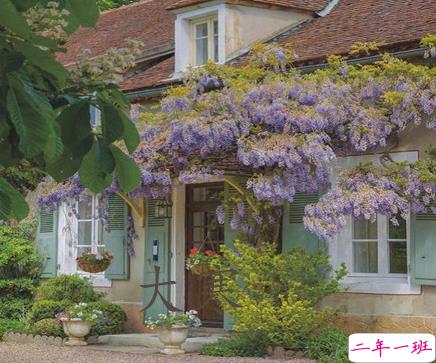 2021最新大寒句子带图片 大寒最经典的祝福语7