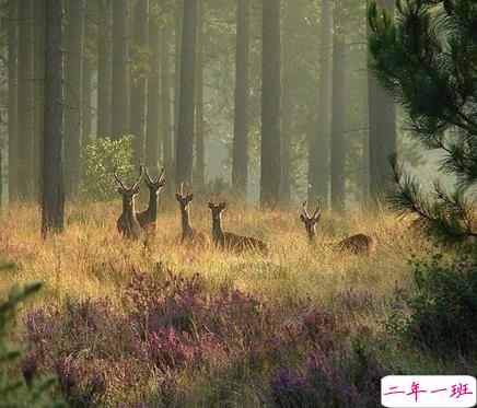 2021最新大寒句子带图片 大寒最经典的祝福语8