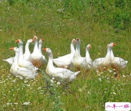 2021最新大寒句子带图片 大寒最经典的祝福语9