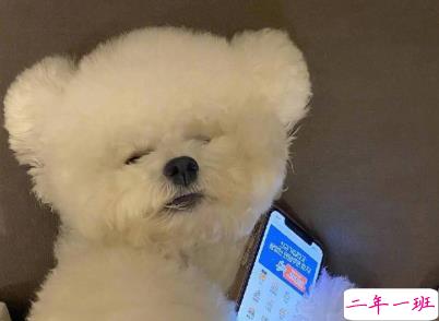 冬季发朋友圈的唯美句子带图片 坠欢莫拾酒痕在衣9