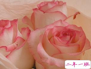 最新温柔唯美好听的个性文案 生活有惊喜事事有回应9