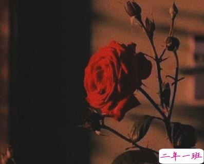 九月适合发朋友圈说说带图片唯美 九月该来的总会来3